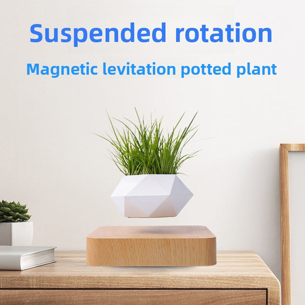 Tycozev™ LevitaGrow — Magnetic Levitation Plant Stand