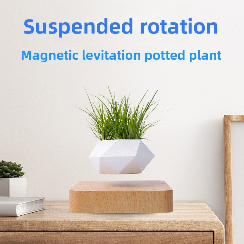 Tycozev™ LevitaGrow — Magnetic Levitation Plant Stand