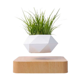 Tycozev™ LevitaGrow — Magnetic Levitation Plant Stand