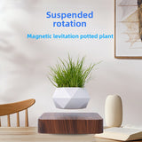 Tycozev™ LevitaGrow — Magnetic Levitation Plant Stand